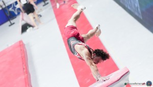 gam sfe00254 copia simone ferraro ph